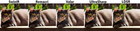 ultrasharp stable diffusion|Upscalers comparison, Part 2: SwinIR, Remacri, .